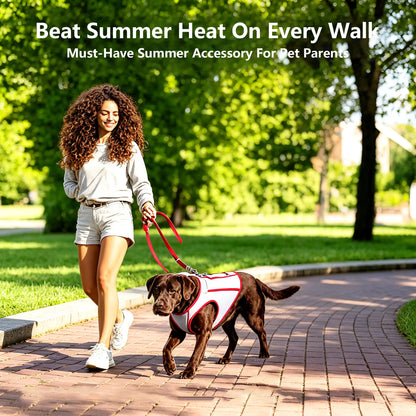 Cooling Dog Harness – Evaporative Cooling Vest with Adjustable No-Pull Design