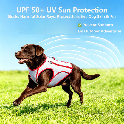 Cooling Dog Harness – Evaporative Cooling Vest with Adjustable No-Pull Design