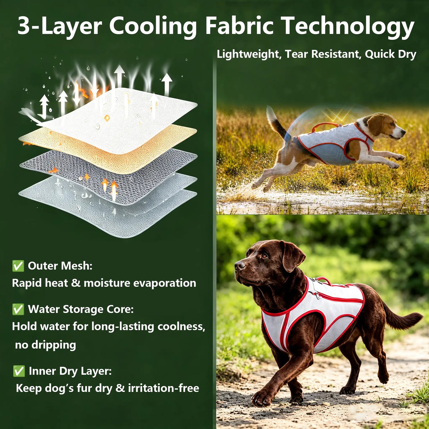Cooling Dog Harness – Evaporative Cooling Vest with Adjustable No-Pull Design