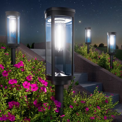 Solar Outdoor Pathway Lights – Auto On/Off, IP65 Waterproof & Easy Installation